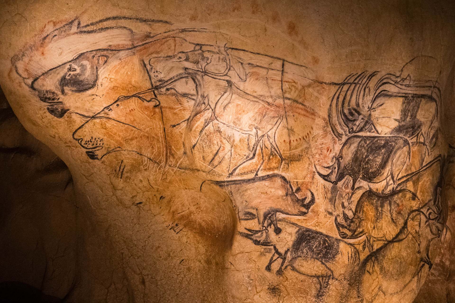 web_Gotte_Chauvet2_Ardèche©Marina Geray (5) – Copie